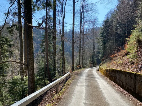 Estradas Subalpinas Trilhas Florestais Montanha Trilhas Bicicleta Recreativa Nas Encostas — Fotografia de Stock