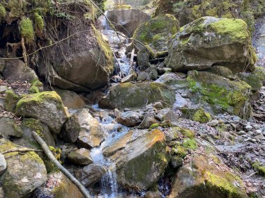İsviçre dağ kütlesi Pilatus, Schwarzenberg LU - Lucerne Kantonu (Kanton Luzern), İsviçre (Schweiz)