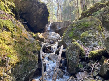 İsviçre dağ kütlesi Pilatus, Schwarzenberg LU - Lucerne Kantonu (Kanton Luzern), İsviçre (Schweiz)