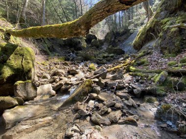 İsviçre dağ kütlesi Pilatus, Schwarzenberg LU - Lucerne Kantonu (Kanton Luzern), İsviçre (Schweiz)