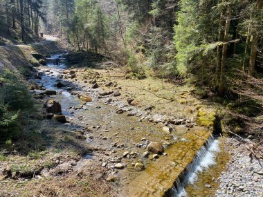 İsviçre dağ kütlesi Pilatus, Schwarzenberg LU - Lucerne Kantonu (Kanton Luzern), İsviçre (Schweiz)