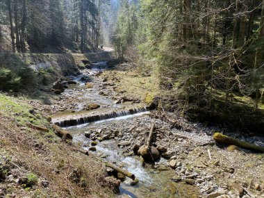 İsviçre dağ kütlesi Pilatus, Schwarzenberg LU - Lucerne Kantonu (Kanton Luzern), İsviçre (Schweiz)