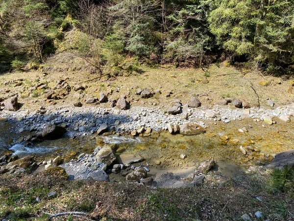 Fluxo Alpino Florestal Fischebach Nas Encostas Maciço Montanhoso Suíço Pilatus — Fotografia de Stock