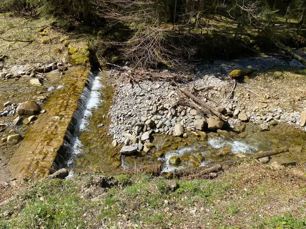 Δασικό Αλπικό Ρεύμα Fischebach Στις Πλαγιές Του Ελβετικού Ορεινού Όγκου — Φωτογραφία Αρχείου