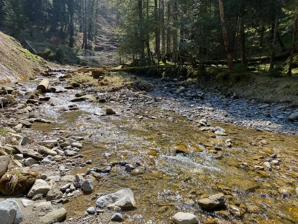 Bosque Río Alpino Fischebach Las Laderas Del Macizo Montañoso Suizo — Foto de Stock