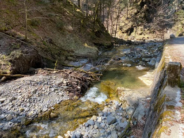 Δασικό Αλπικό Ρεύμα Fischebach Στις Πλαγιές Του Ελβετικού Ορεινού Όγκου — Φωτογραφία Αρχείου