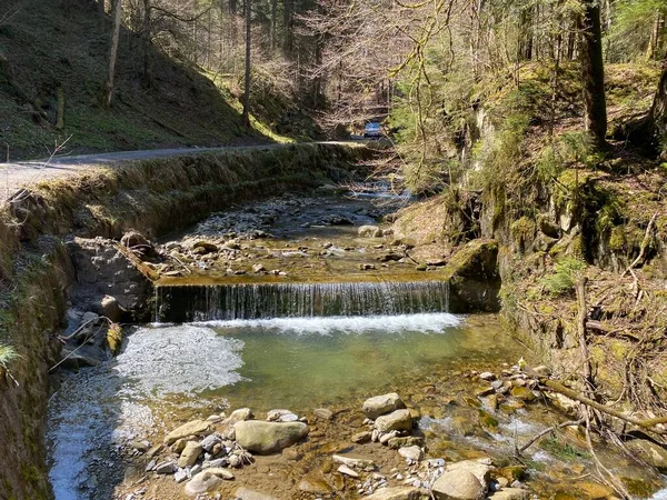 Foresta Ruscello Alpino Fischebach Sulle Pendici Del Massiccio Montano Svizzero — Foto Stock