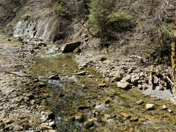 Bosalpiene Beek Fischebach Hellingen Van Het Zwitserse Bergmassief Pilatus Schwarzenberg — Stockfoto