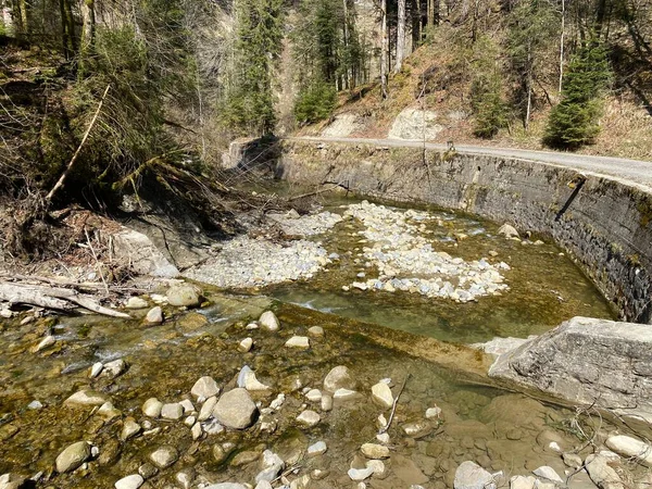 Lesní Alpský Potok Fischebach Svazích Švýcarského Horského Masivu Pilatus Schwarzenberg — Stock fotografie