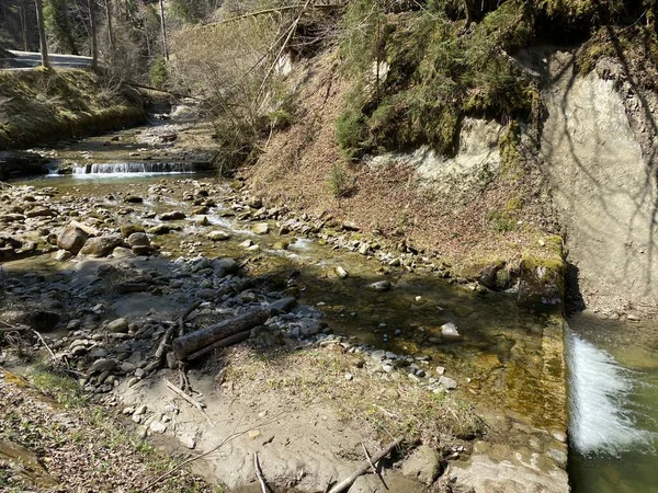 Δασικό Αλπικό Ρεύμα Fischebach Στις Πλαγιές Του Ελβετικού Ορεινού Όγκου — Φωτογραφία Αρχείου