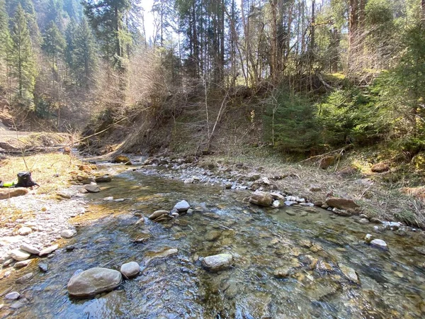 Bosque Río Alpino Fischebach Las Laderas Del Macizo Montañoso Suizo —  Fotos de Stock