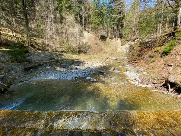 Bosque Río Alpino Fischebach Las Laderas Del Macizo Montañoso Suizo — Foto de Stock