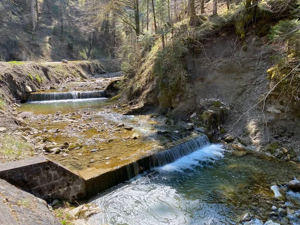 Waldalmbach Fischebach Den Hängen Des Schweizer Bergmassivs Pilatus Schwarzenberg Kanton — Stockfoto