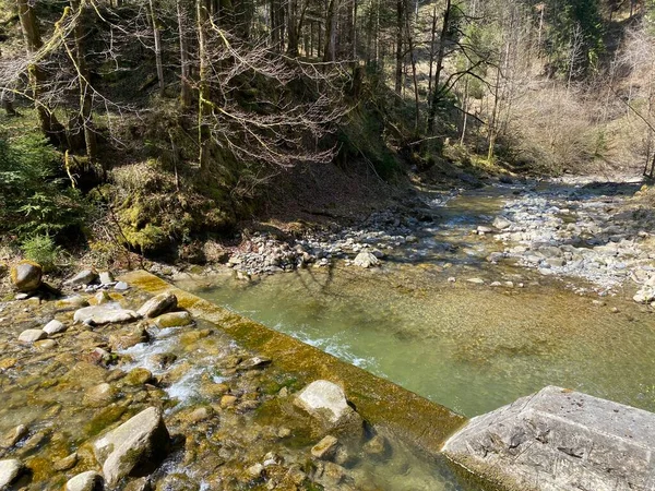 Bosque Río Alpino Fischebach Las Laderas Del Macizo Montañoso Suizo — Foto de Stock