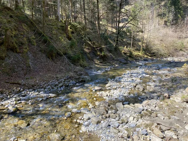 Bosque Río Alpino Fischebach Las Laderas Del Macizo Montañoso Suizo — Foto de Stock