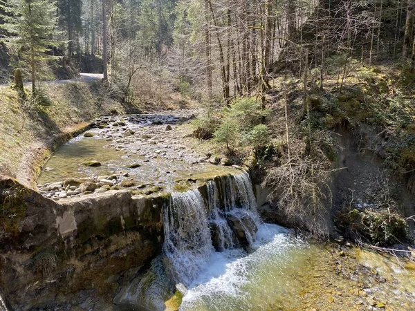 Fluxo Alpino Florestal Fischebach Nas Encostas Maciço Montanhoso Suíço Pilatus — Fotografia de Stock