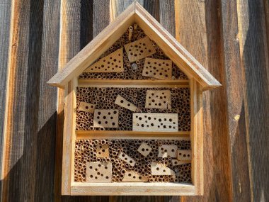 İsviçre 'nin dağlık kesimi Pilatus, Schwarzenberg LU - Lucerne Kantonu (Kanton Luzern), İsviçre (Schweiz)