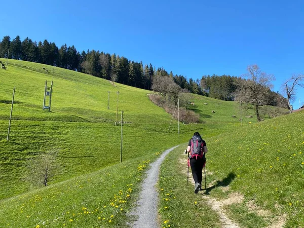 Trails for walking, hiking, sports and recreation on the slopes of the Pilatus massif and in the alpine valleys at the foot of the mountain, Schwarzenberg LU - Canton of Lucerne, Switzerland / Schweiz