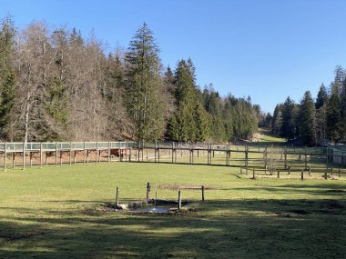 Zoo Juraparc Vallorbe (Parc Animalier Jura Vaudois) veya der Tierpark Juraparc - Vaud Kantonu, İsviçre (Kanton Waadt, Schweiz)