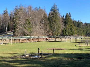 Zoo Juraparc Vallorbe (Parc Animalier Jura Vaudois) veya der Tierpark Juraparc - Vaud Kantonu, İsviçre (Kanton Waadt, Schweiz)