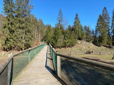 Zoo Juraparc Vallorbe - Vaud Kantonu, İsviçre 'de (Kanton Waadt, Schweiz) gözlem platformu (Beobachtungslaufsteg))