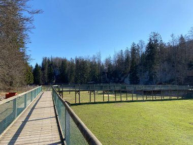 Zoo Juraparc Vallorbe - Vaud Kantonu, İsviçre 'de (Kanton Waadt, Schweiz) gözlem platformu (Beobachtungslaufsteg))