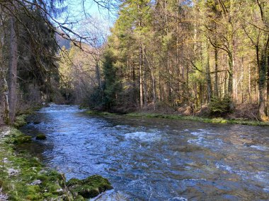 Orbe Nehri 'nin, mağara veya bahar ile Vallorbe (der Fluss Orbe veya le fleuve de l' Orbe), Vallorbe - Vaud Kantonu, İsviçre (Kanton Waadt, Schweiz)