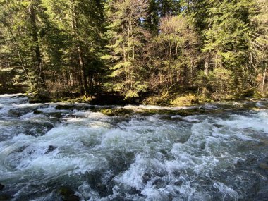 Orbe Nehri 'nin, mağara veya bahar ile Vallorbe (der Fluss Orbe veya le fleuve de l' Orbe), Vallorbe - Vaud Kantonu, İsviçre (Kanton Waadt, Schweiz)