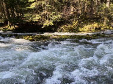 Orbe Nehri 'nin, mağara veya bahar ile Vallorbe (der Fluss Orbe veya le fleuve de l' Orbe), Vallorbe - Vaud Kantonu, İsviçre (Kanton Waadt, Schweiz)