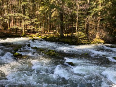Orbe Nehri 'nin, mağara veya bahar ile Vallorbe (der Fluss Orbe veya le fleuve de l' Orbe), Vallorbe - Vaud Kantonu, İsviçre (Kanton Waadt, Schweiz)