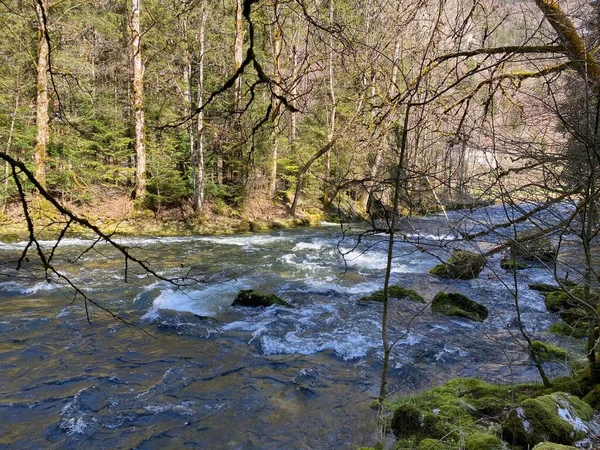 Przebieg Rzeki Orbe Między Jaskinią Lub Źródłem Osadą Vallorbe Der — Zdjęcie stockowe