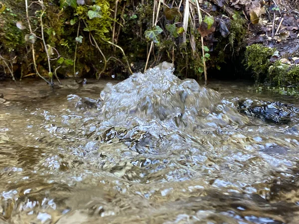 The course of the river Orbe between the cave or spring and the settlement of Vallorbe (der Fluss Orbe or le fleuve de l\'Orbe), Vallorbe - Canton of Vaud, Switzerland (Kanton Waadt, Schweiz)