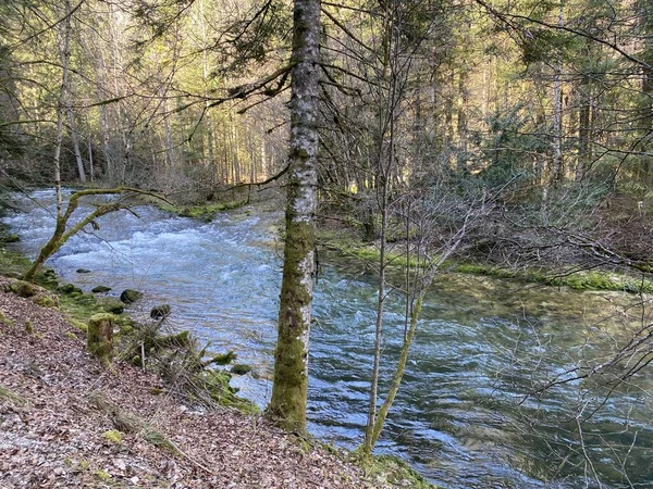 Loop Van Orbe Tussen Grot Bron Nederzetting Vallorbe Der Fluss — Stockfoto