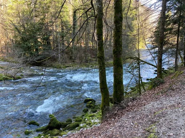 Orbe Folyó Folyása Barlang Vagy Forrás Vallorbe Der Fluss Orbe — Stock Fotó