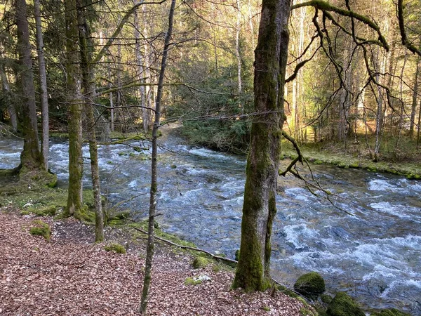 奥贝河在洞口或泉水与瑞士沃州Vallorbe Kanton Waadt Schweiz Vallorbe Der Fluss Orbe Fleuve Orbe — 图库照片