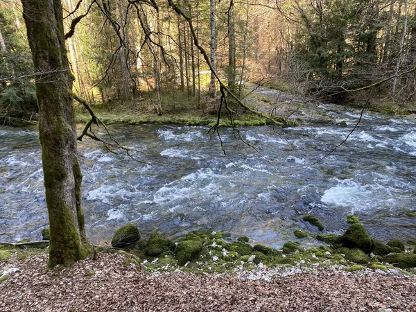 Course River Orbe Cave Spring Settlement Vallorbe Der Fluss Orbe — Stock Photo, Image