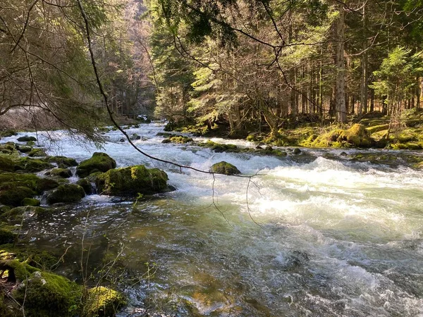 Course River Orbe Cave Spring Settlement Vallorbe Der Fluss Orbe — Stock Photo, Image