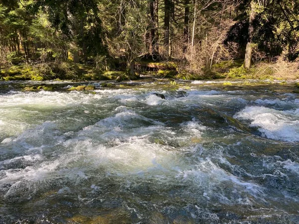 The course of the river Orbe between the cave or spring and the settlement of Vallorbe (der Fluss Orbe or le fleuve de l\'Orbe), Vallorbe - Canton of Vaud, Switzerland (Kanton Waadt, Schweiz)