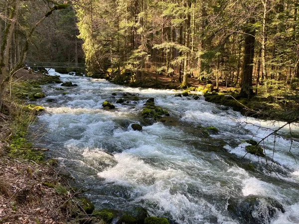 Course River Orbe Cave Spring Settlement Vallorbe Der Fluss Orbe — Stock Photo, Image