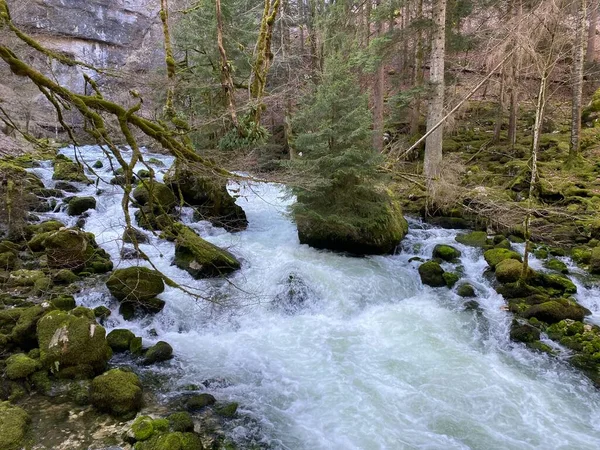 Curso Rio Orbe Entre Caverna Nascente Assentamento Vallorbe Der Fluss — Fotografia de Stock