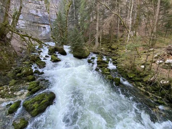 Der Lauf Der Orbe Zwischen Der Höhle Oder Quelle Und — Stockfoto