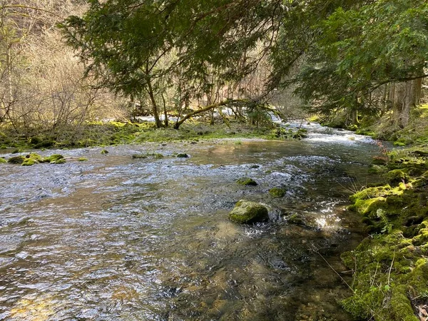 Orbe Folyó Folyása Barlang Vagy Forrás Vallorbe Der Fluss Orbe — Stock Fotó