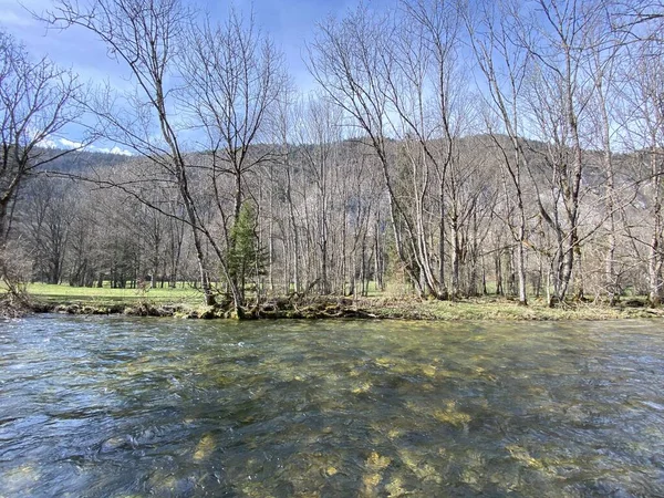 Corso Del Fiume Orbe Tra Grotta Sorgente Insediamento Vallorbe Der — Foto Stock