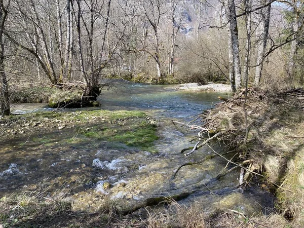 Orbe Folyó Folyása Barlang Vagy Forrás Vallorbe Der Fluss Orbe — Stock Fotó