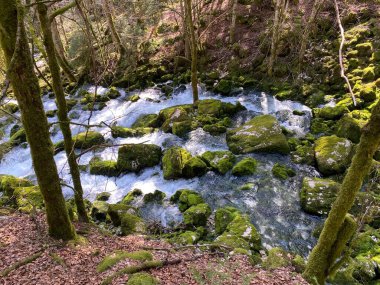 Karst, Vallorbe mağaralarının ve Orbe, Vallorbe Nehri 'nin kaynağı boyunca uzanan kanyonun içine yaylanır (Kanton Waadt, Schweiz)