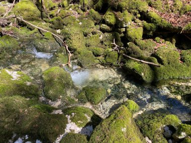 Karst, Vallorbe mağaralarının ve Orbe, Vallorbe Nehri 'nin kaynağı boyunca uzanan kanyonun içine yaylanır (Kanton Waadt, Schweiz)
