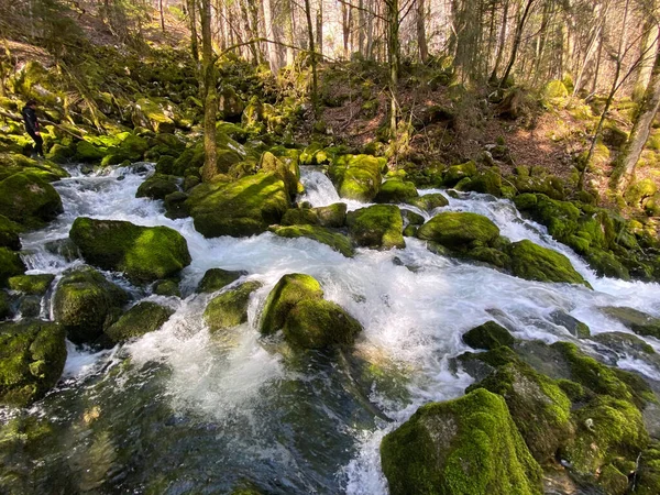 Krasové Prameny Oblasti Vallorbe Jeskyně Kaňonu Podél Pramene Řeky Orbe — Stock fotografie