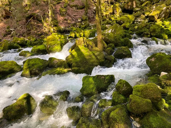 Krasové Prameny Oblasti Vallorbe Jeskyně Kaňonu Podél Pramene Řeky Orbe — Stock fotografie