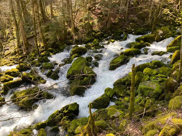 Krasové Prameny Oblasti Vallorbe Jeskyně Kaňonu Podél Pramene Řeky Orbe — Stock fotografie