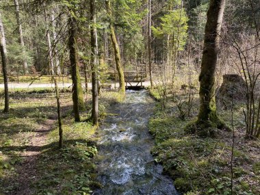 Orba Nehri 'nin kaynağı ve kanyonu Vallorbe - Vaud Kantonu, İsviçre (Kanton Waadt, Schweiz)